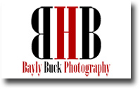 Bayly Buck Studios - CLOSED