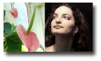 Carolina Medina-Dupaix - Musings of an Artful Mind