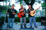 Hawaii State Art Museum - Live from the Lawn - Entertainmnet