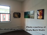 Lovely photos on display at Bayly Buck Studios